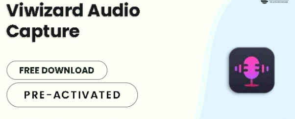 Viwizard Audio Capture