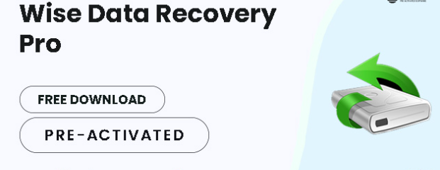 Wise Data Recovery Pro