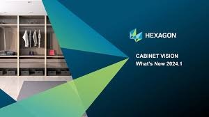 Hexagon Cabinet Vision