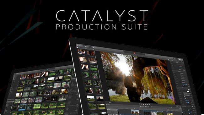 Catalyst Production Suite