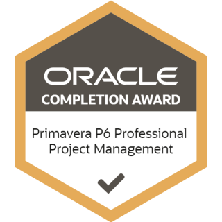 Primavera P6 Professional