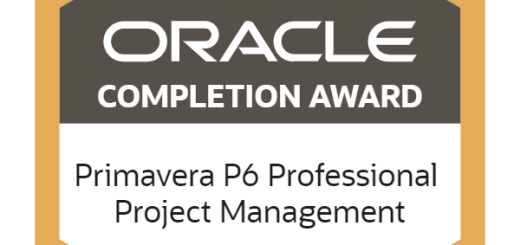 Primavera P6 Professional