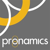 Pronamics Expert Estimation