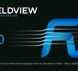 FieldView