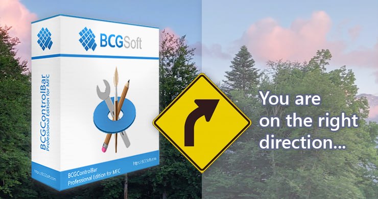 BCGControlBar Pro