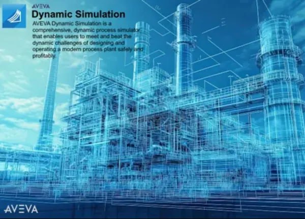 Dynamic Simulation